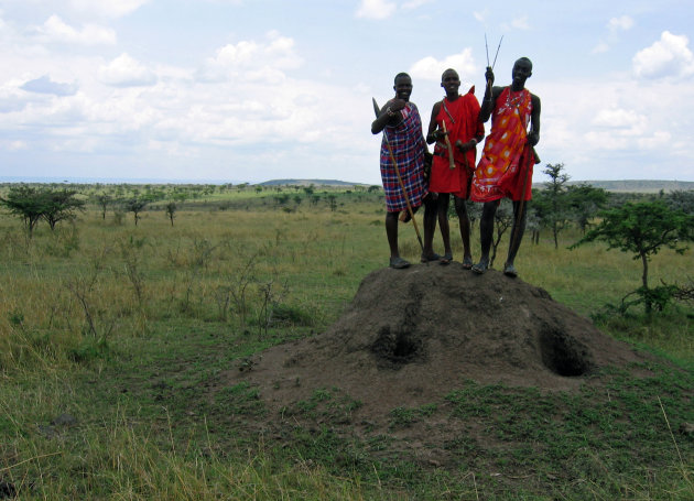 Massai op de afrikaanse vlaktes.