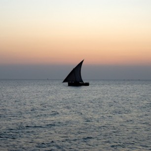 profiel Zanzibar