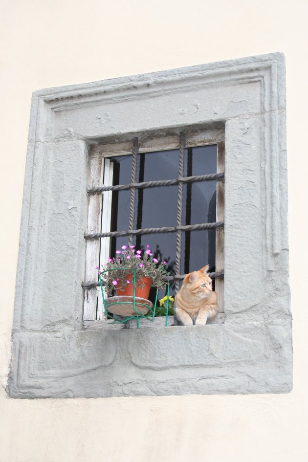 Kat uit het raam in Cortona
