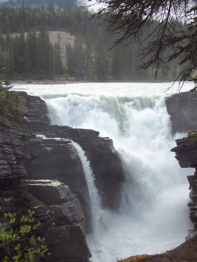 Athabasca waterfalls