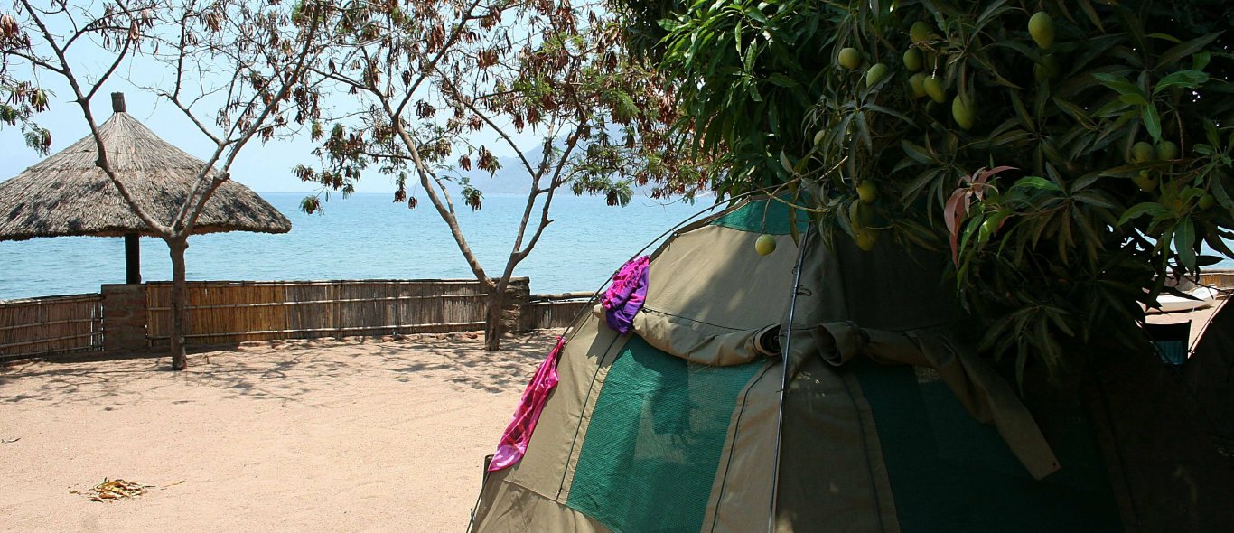 Lake Malawi image