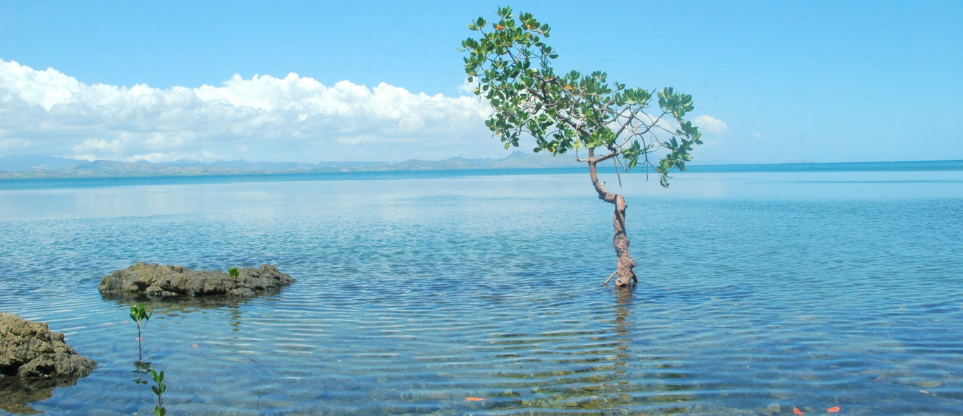 Fiji image