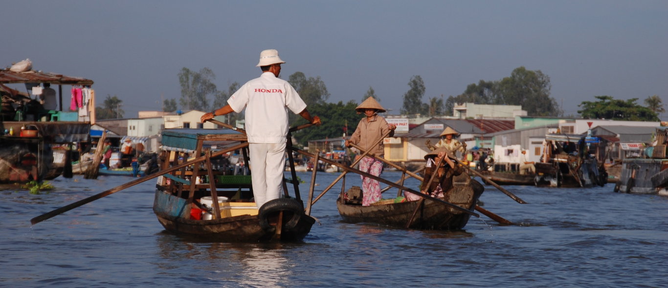 Mekong Delta image