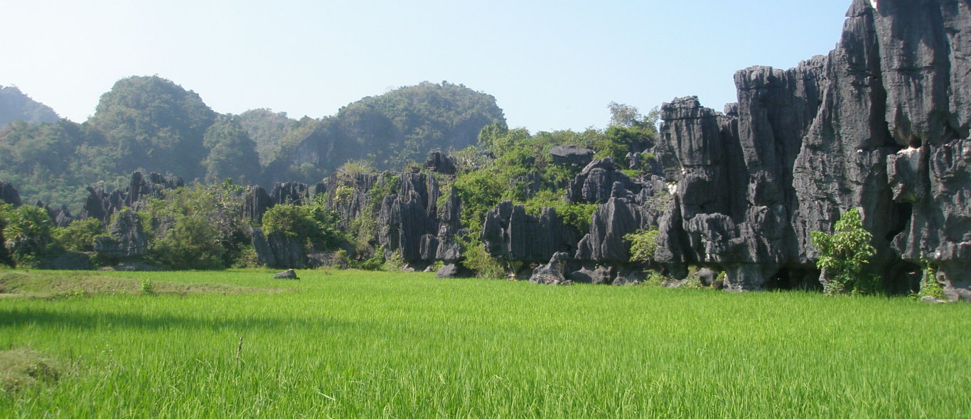 Celebes (Sulawesi) image