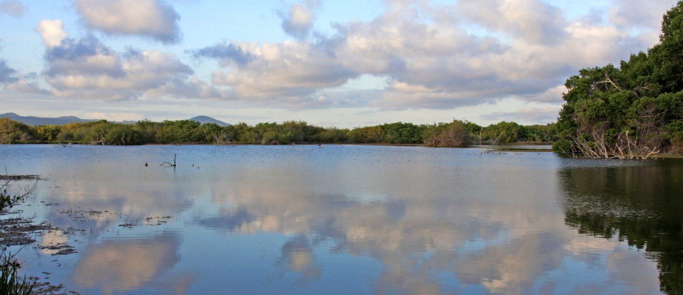 Galapagos eilanden image