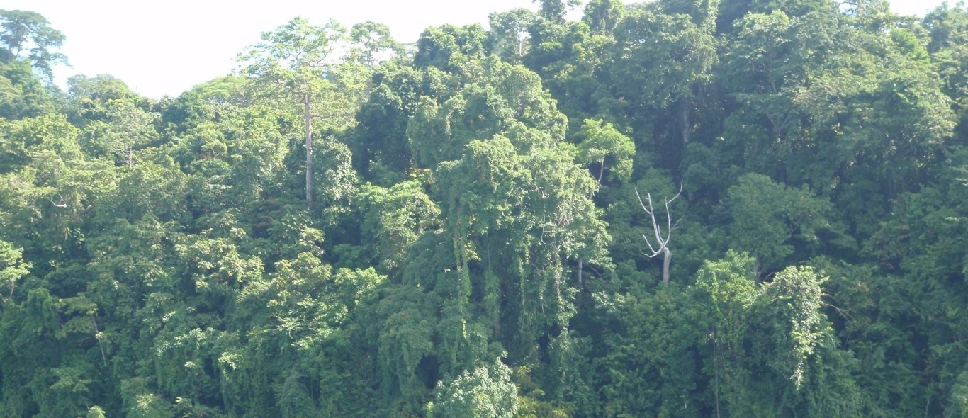 Andaman eilanden image