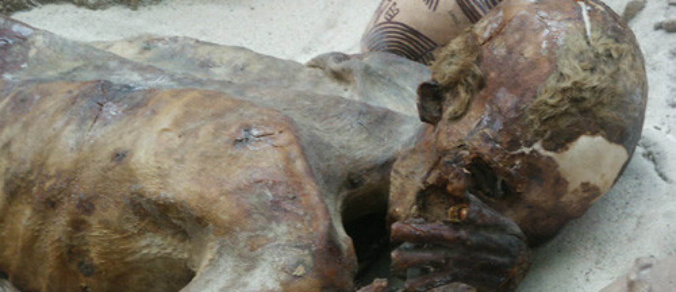 Mummies uit de hele wereld image