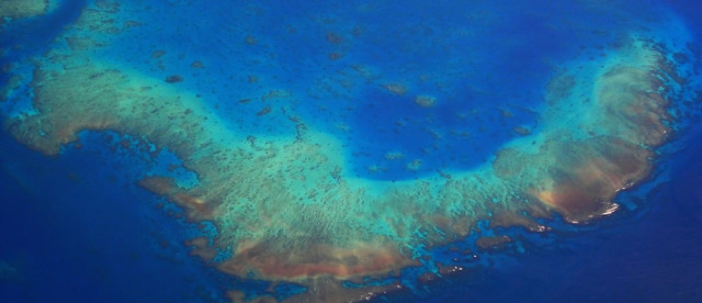 Groei Great Barrier Reef stagneert image