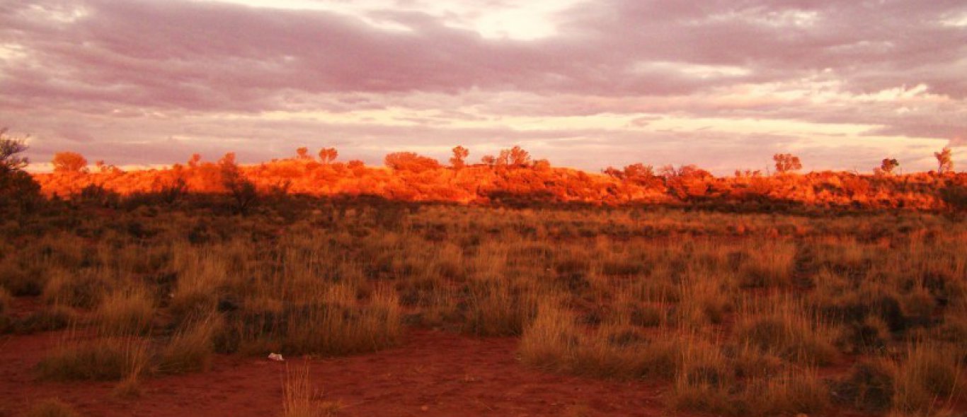 Verdwaald in de Outback image