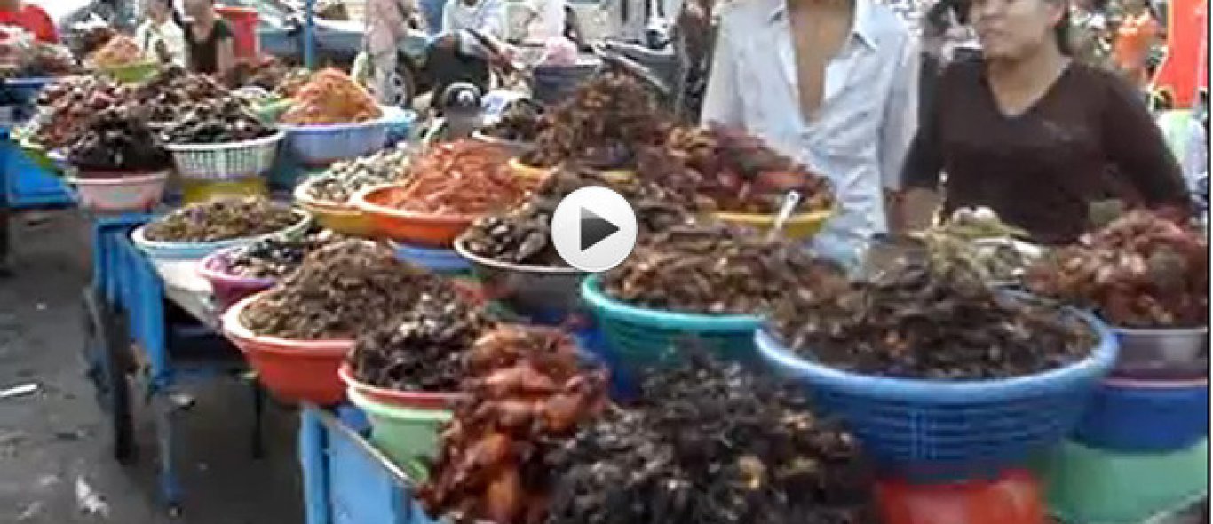VIDEO: Snoepkraam in Cambodja image