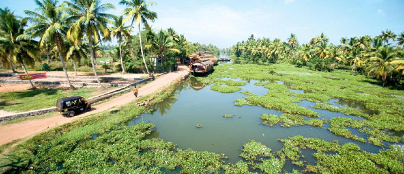 Kerala, India image