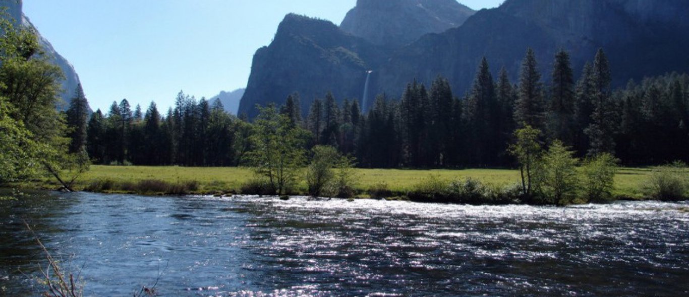 Yosemite National Park veilig voor bezoekers image