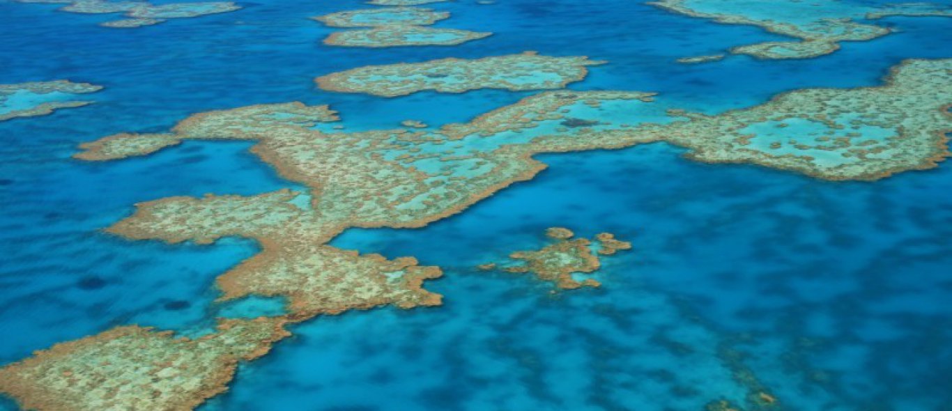 Australië creëert het grootste zeereservaat ter wereld image