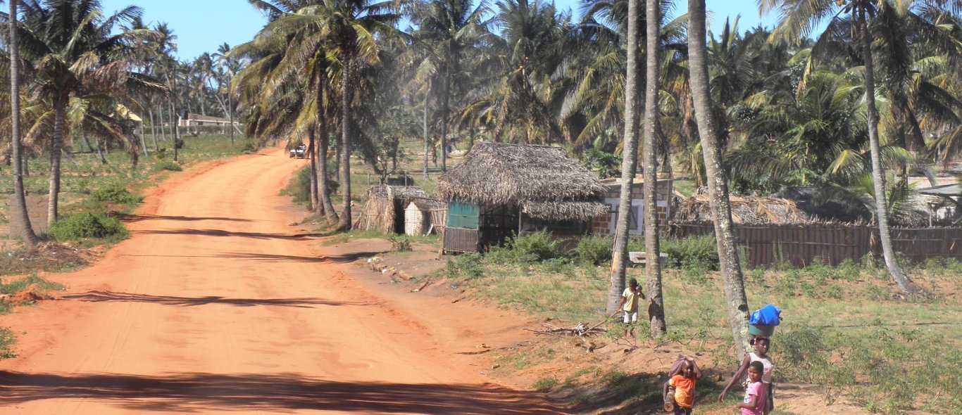Mozambique image