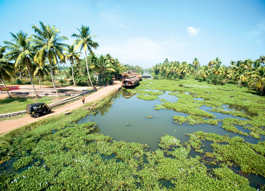 In tegenstelling tot Goa, verder naar het noorden van India, zijn de stranden van Kerala ongerept.