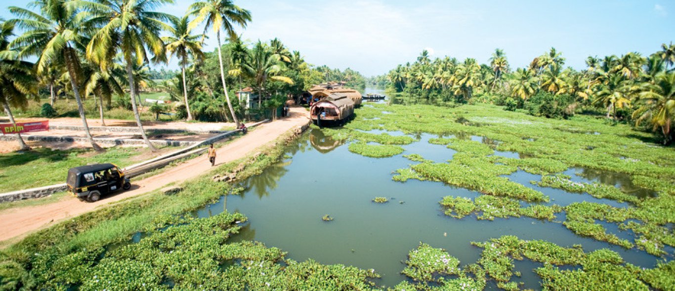 India: het nieuwe Goa heet Kerala image