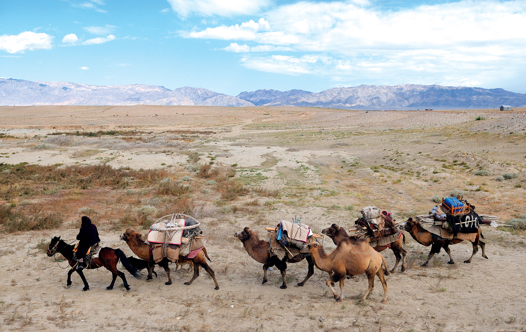 Een kamelenkaravaan van nomadische Kazakken in China. Foto: Tom van der Leij / Columbus Travel