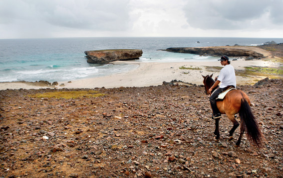 De ruige oostkust van Aruba ontdek je idealiter te paard. Foto: Ilvy Njiokiktjien.