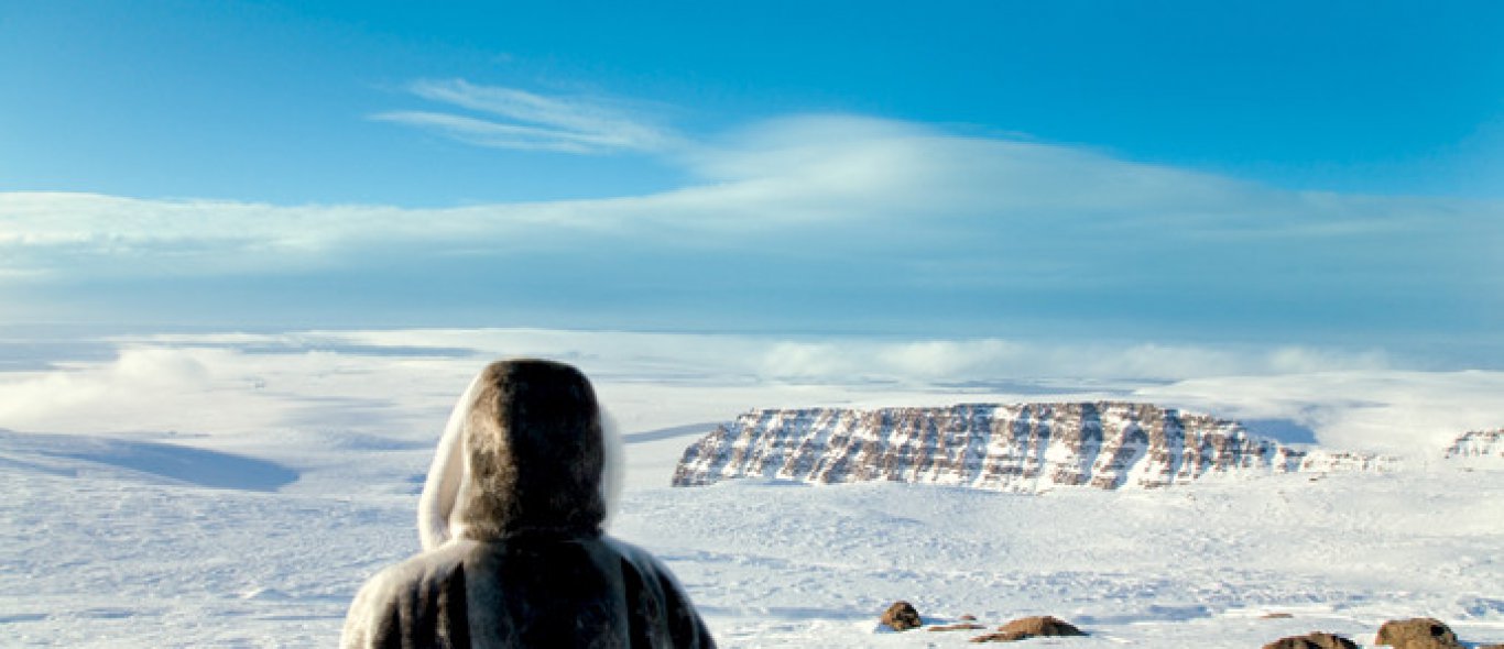 Onthuld: de natuurgeheimen van Groenland image
