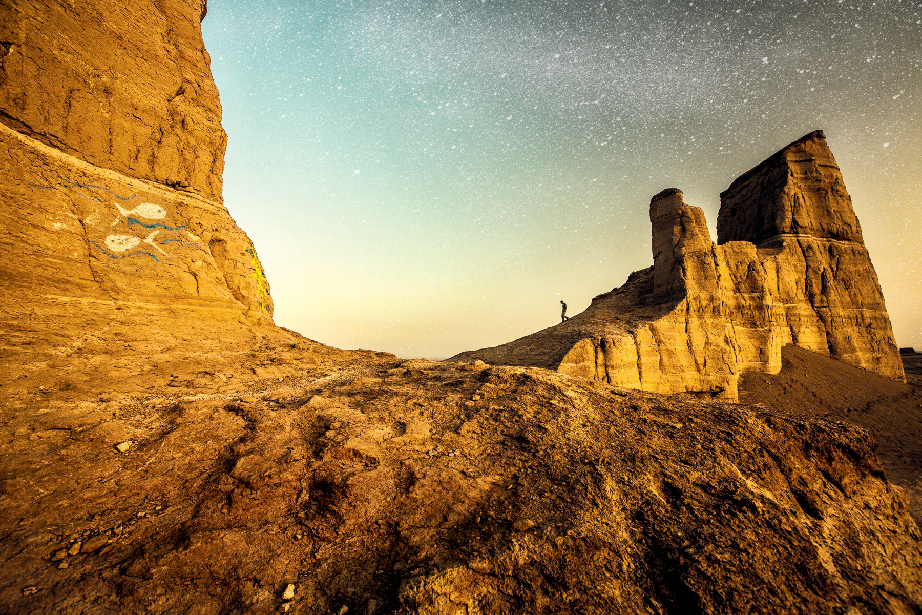 Jij en de sterren in de Dasht-e Lut-woestijn in Iran. Foto: Malou van Breevoort / Columbus Travel