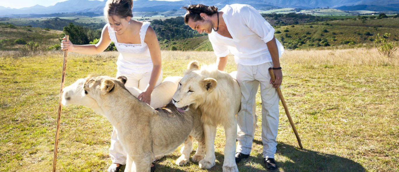 Natuurreizen: Waarom je niet met leeuwen wilt knuffelen en wandelen image