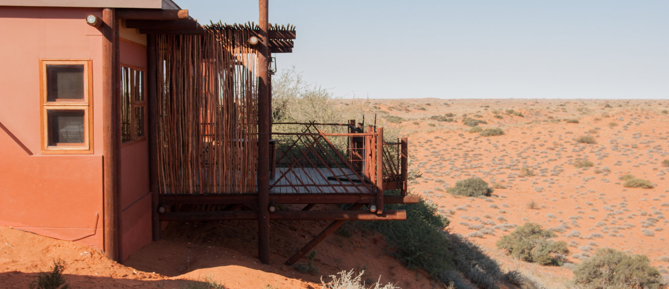 Kalahari woestijn image