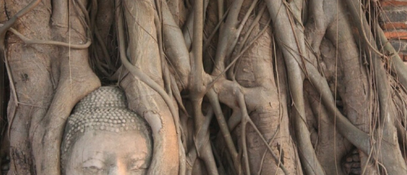 Ayutthaya image