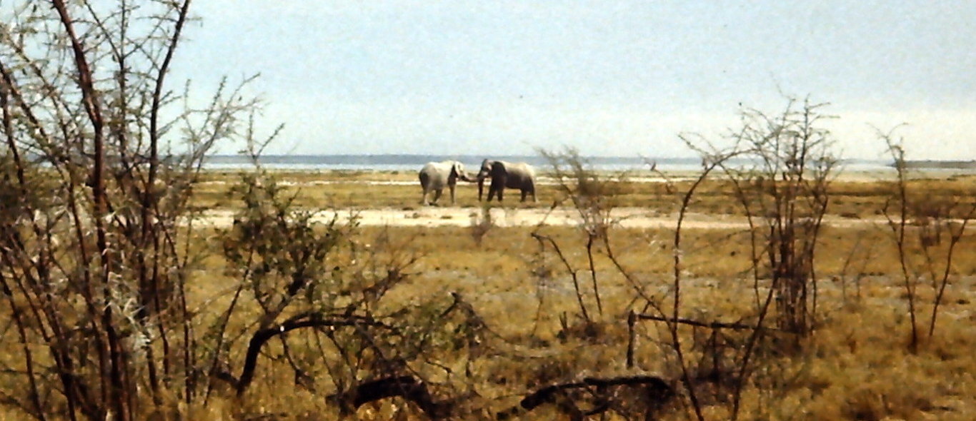 Namibië image