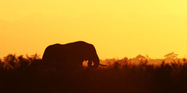 zonsopgang in Amboseli