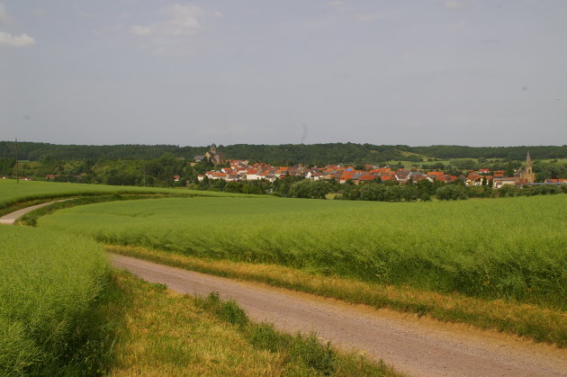 Het landschap rondom Burg Sponheim
