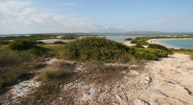 Punta Jagüey