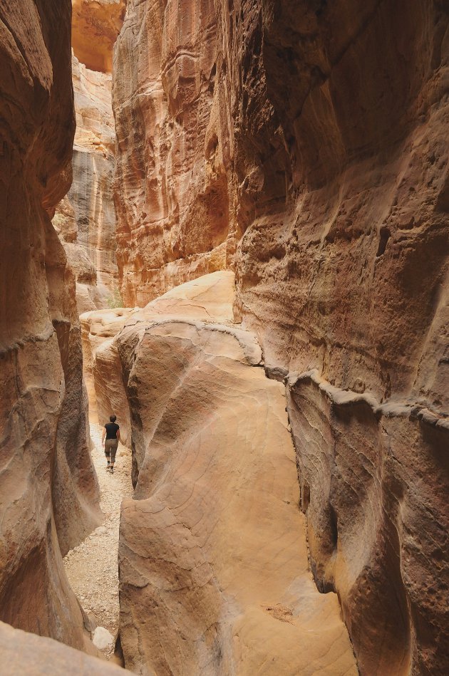 ontdek de wadi's rondom Petra