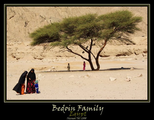 Bedoin Family