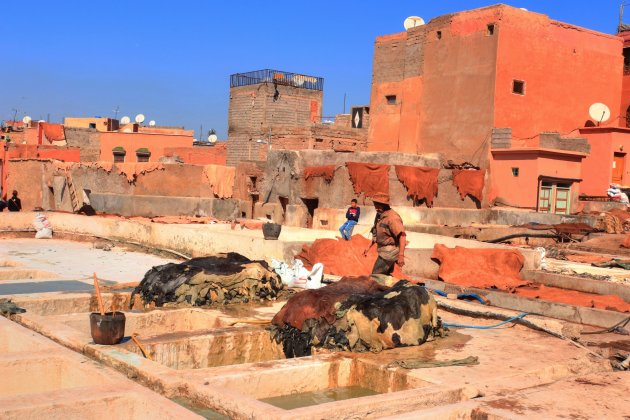 Tanneries Marrakesh