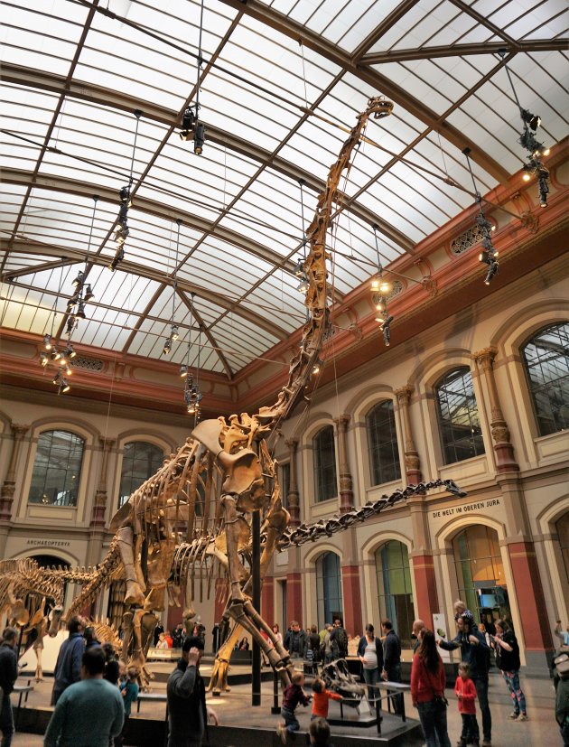 Grootste Dino-skelet ter wereld
