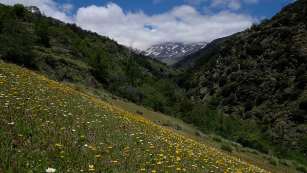Afkoelen in de Sierra Nevada