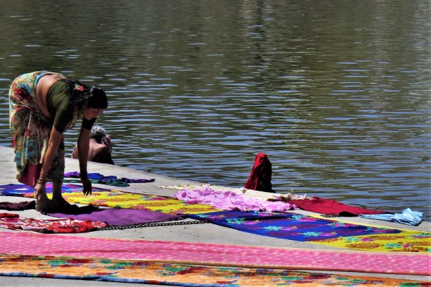 drogende sari's bij Pushkar Lake