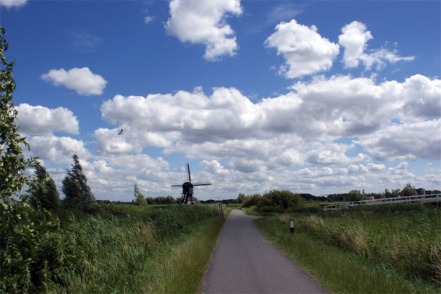 Landschap Kinderdijk