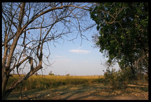 okavango view