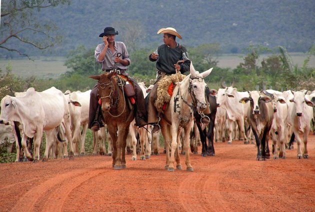cowboys in Brazil...long and lonesome road