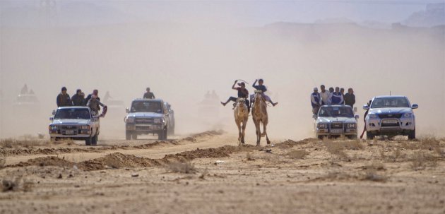 Kamelenrace bij de bedoeïnen