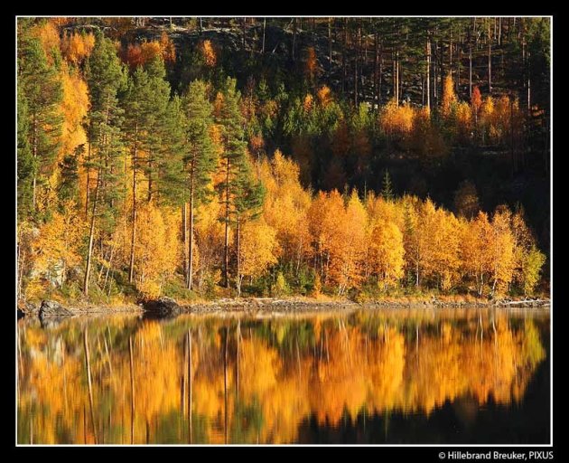 Herfst in Noorwegen 3