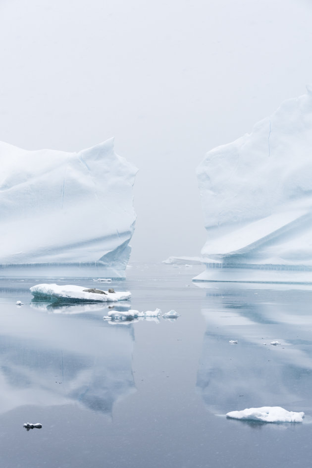 Witte wereld van Antarctica