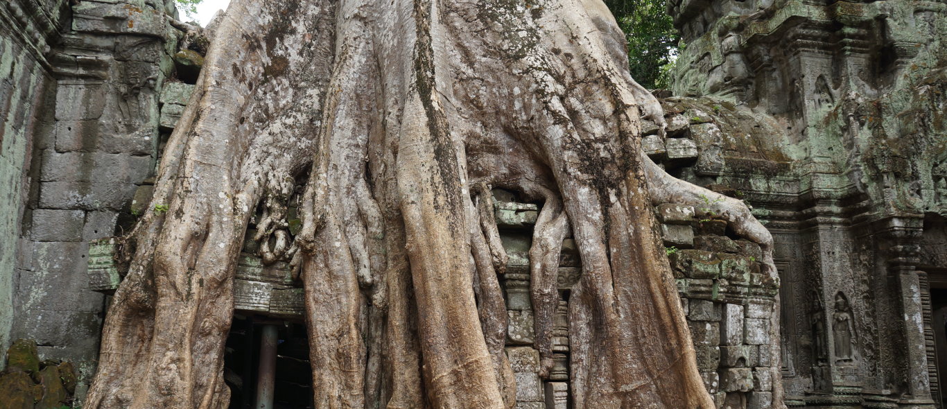 Angkor en Siem Reap image