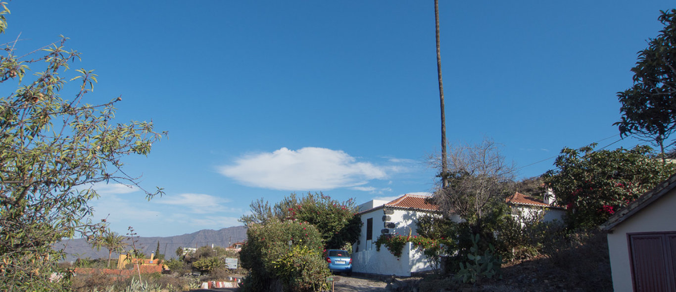 La Palma image
