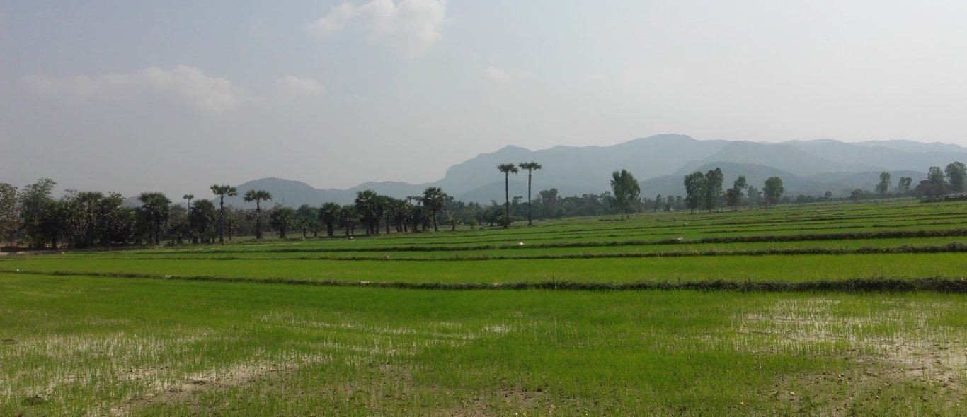 Chiang Mai image