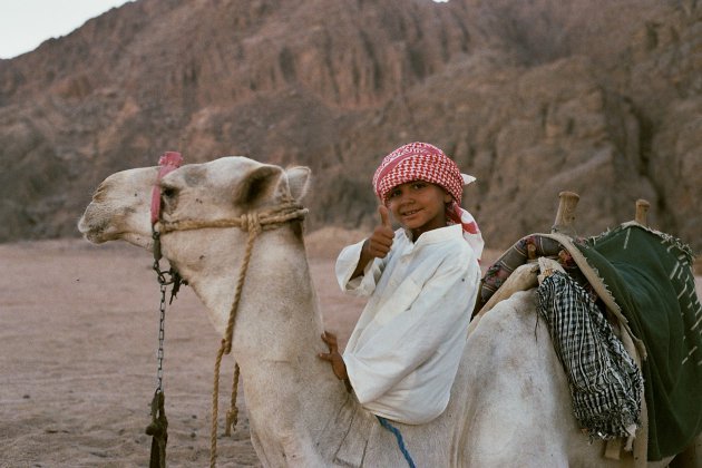 Local op kameel in Sinaï