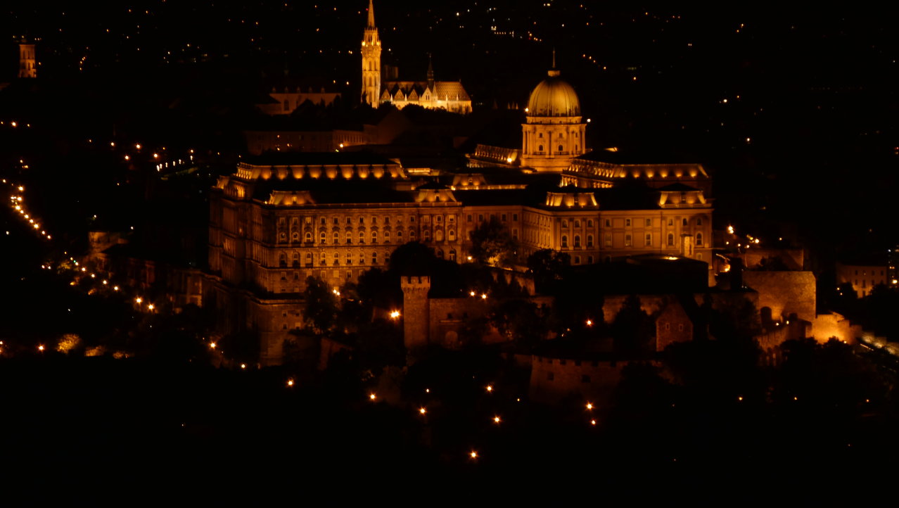 Royal Palace in Buda bij nacht