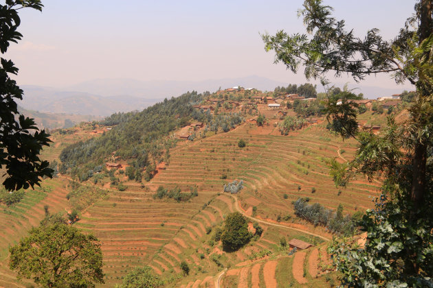 self-drive in Rwanda