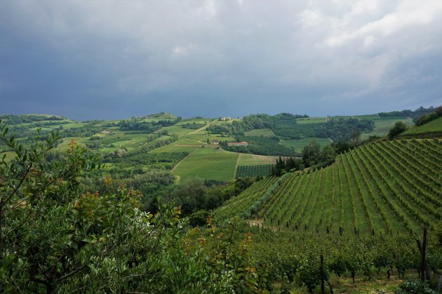 wijngaarden Monferrato